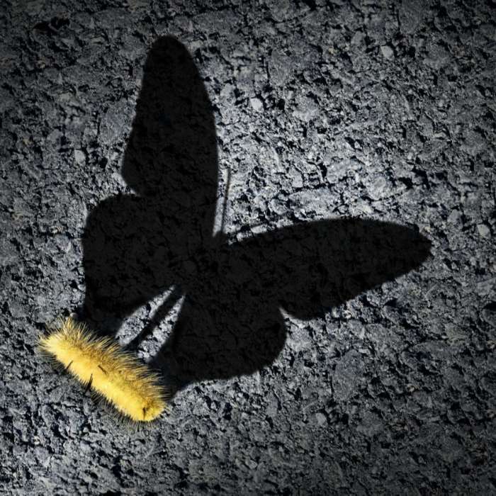 Alors ... on change ?